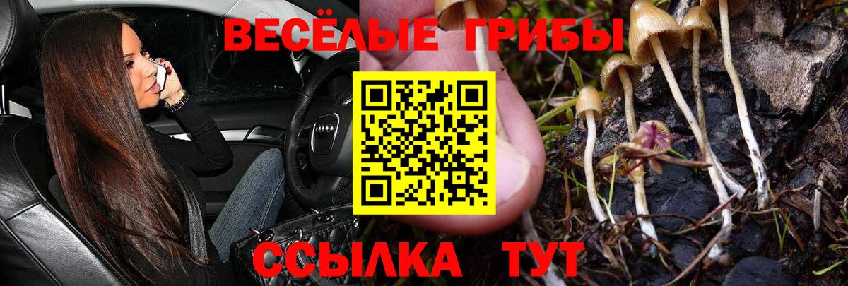 как найти   Псилоцибиновые грибы Psilocybine cubensis  Вход с VPN  Чапаевск  Псилоцибиновые грибы Magic Shrooms 
